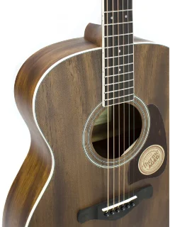 Ibanez AC340 OPN