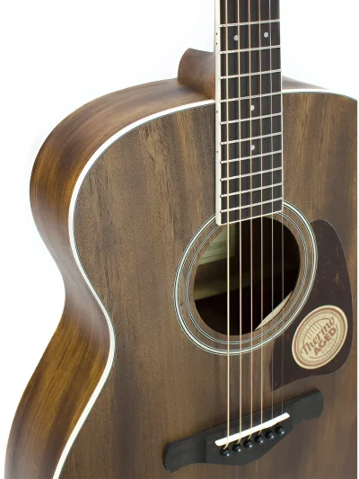 Акустична гітара Ibanez AC340 OPN