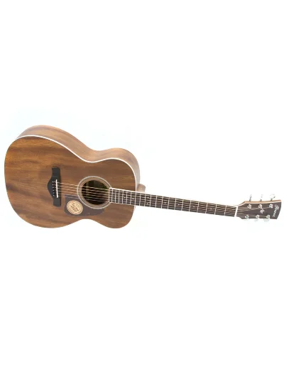 Акустична гітара Ibanez AC340 OPN