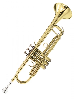 Maxtone TTC60L2 (TTC234L)