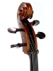Віолончель Stentor 1102A/2 Student I Cello Outfit 4/4