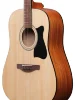 Акустична гітара Ibanez V40-OPN