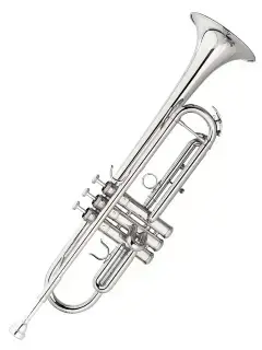 Maxtone TTC60N2 (TTC234N)