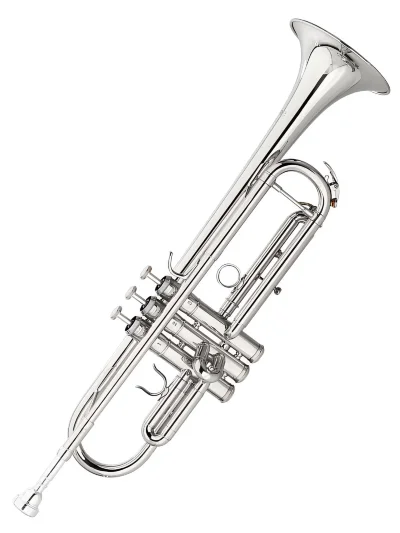 Труба Maxtone TTC60N2 (TTC234N)