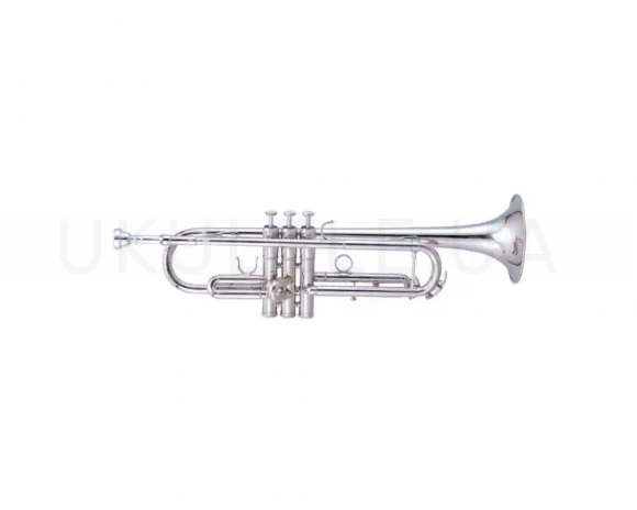 Труба Maxtone TTC60N2 (TTC234N)