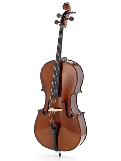Віолончель Stentor 1102/C Student I Cello Outfit 3/4
