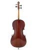 Віолончель Stentor 1102/C Student I Cello Outfit 3/4