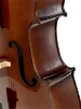 Віолончель Stentor 1102/C Student I Cello Outfit 3/4