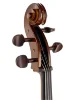 Віолончель Stentor 1102/C Student I Cello Outfit 3/4