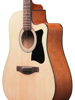 Ibanez V40CE-OPN