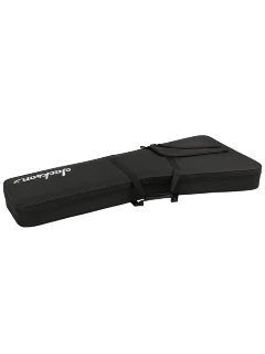 Jackson Rhoads RR Foam Core Case