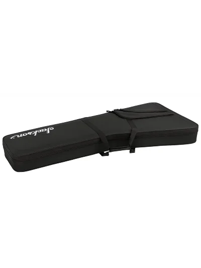 Кейс Jackson Rhoads RR Foam Core Case