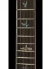 Напівакустична гітара PRS SE Hollowbody II Piezo (Orange Tiger Smokeburst)