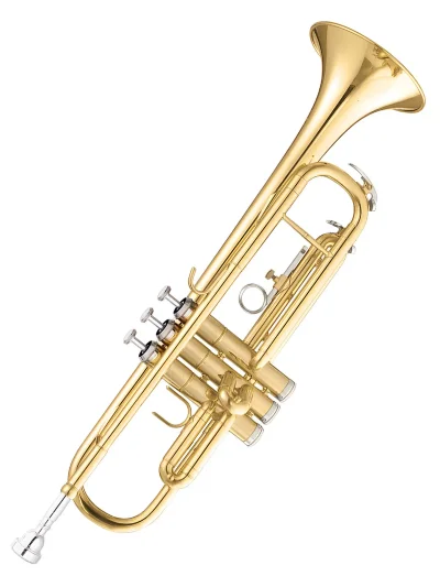 Труба Maxtone TTC30L (TTC1C)