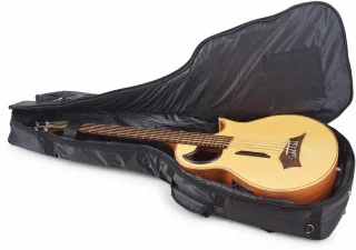 RockBag RB20510 B Deluxe Line Acoustic Bass