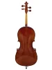 Віолончель Stentor 1102F2 Student I Cello Outfit 1/4