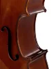 Віолончель Stentor 1102F2 Student I Cello Outfit 1/4