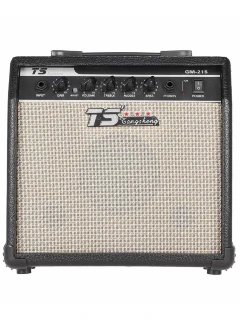 Tangsheng TS GM-215 15W