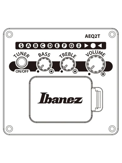 Електро-акустична гітара Ibanez V40WSCE-OPB