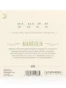 Струни для мандоліни D'Addario EJ75 Mandolin Phosphor Bronze Medium/Heavy (11.5-41)