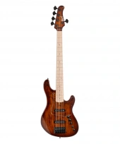 Cort GB-Fusion 5 (Antique Brown Burst)