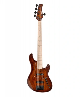 Cort GB-Fusion 5 (Antique Brown Burst)