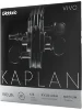 Струни для скрипки D'Addario KV310 4/4M Kaplan Vivo Violin String Set 4/4 Scale Medium Tension