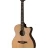 PRS SE A50E (Black Gold)