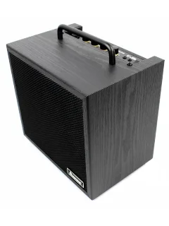 Ibanez IBZ10BV2