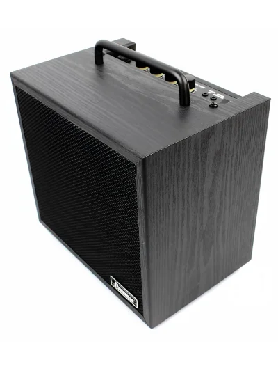 Комбопідсилювач Ibanez IBZ10BV2