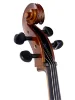 Віолончель Stentor 1108/A Student II Cello Outfit 4/4