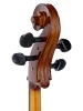 Віолончель Stentor 1108/A Student II Cello Outfit 4/4