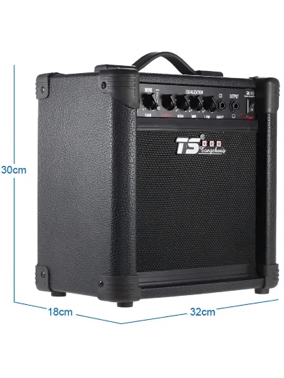 Комбопідсилювач Tangsheng TS GM-515 15W