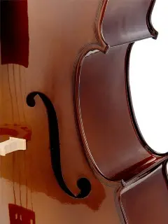 Stentor 1108/C Student II Cello Outfit 3/4