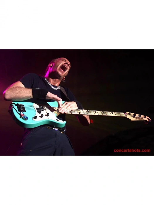 Dimarzio DP146BK Will Power Middle (Black)