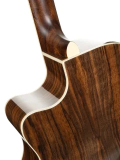 Cort Exotic-GA Walnut (Sunburst)