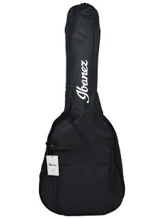Ibanez ICB101