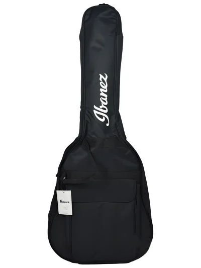 Чохол Ibanez ICB101