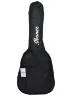Чохол Ibanez ICB101