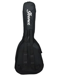 Ibanez ICB101