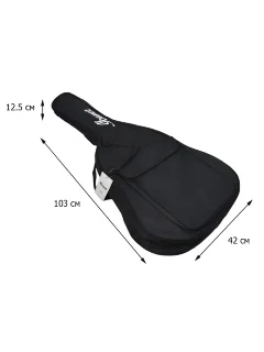 Ibanez ICB101