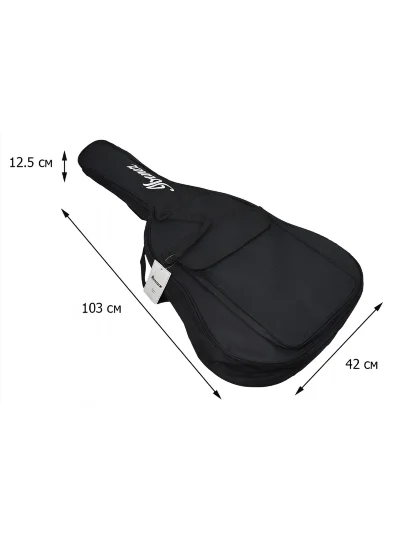 Чохол Ibanez ICB101