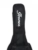 Чохол Ibanez ICB101