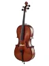Віолончель Stentor 1108/E Student II Cello Outfit 1/2