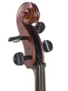 Віолончель Stentor 1108/E Student II Cello Outfit 1/2