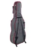 Віолончель Stentor 1108/E Student II Cello Outfit 1/2
