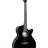 Cort Exotic-SFX Ash (Black Gloss)