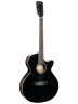 Електро-акустична гітара Cort Exotic-SFX Ash (Black Gloss)