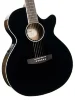 Електро-акустична гітара Cort Exotic-SFX Ash (Black Gloss)