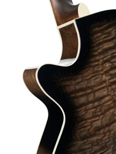 Електро-акустична гітара Cort Exotic-SFX Ash (Black Gloss)